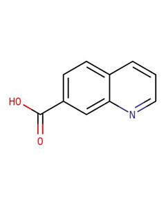 Astatech 7-QUINOLINECARBOXYLIC ACID; 1G; Purity 95%; MDL-MFCD00047617